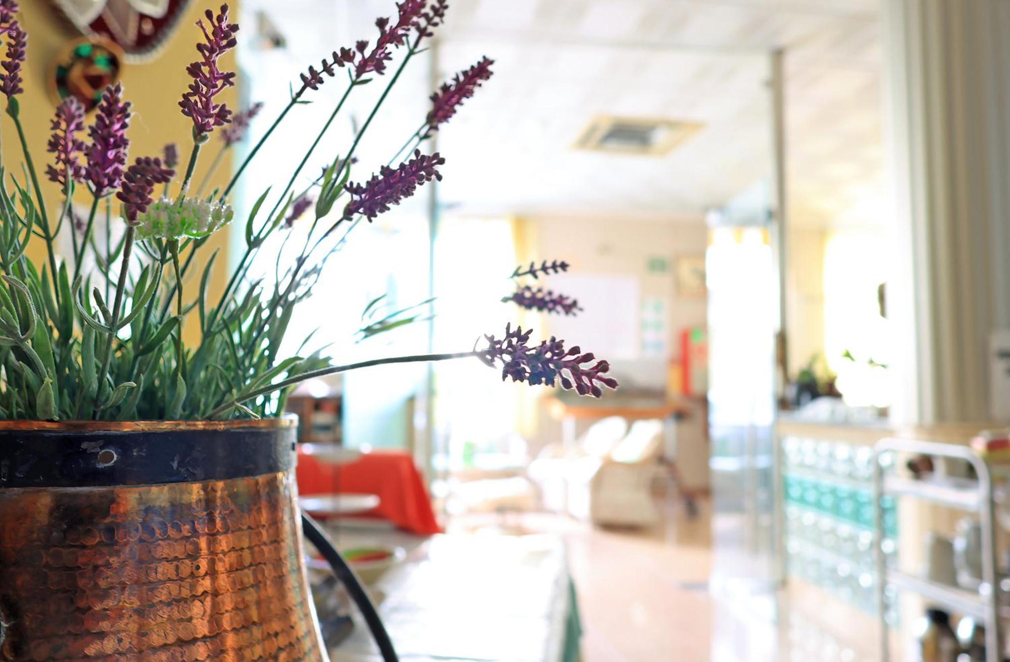 Agusti Hotel